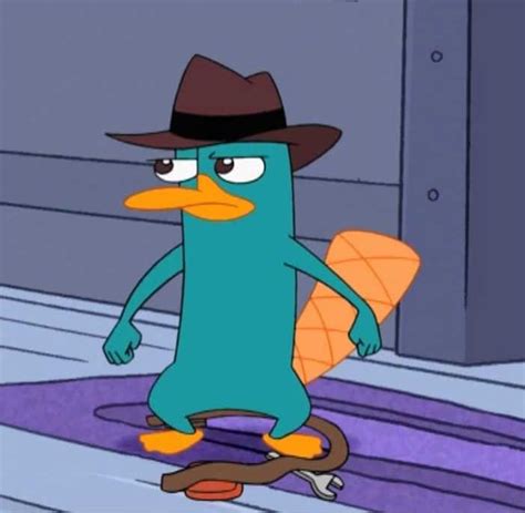 Perry the Platypus: One Feisty Mammal with a World of Adventures